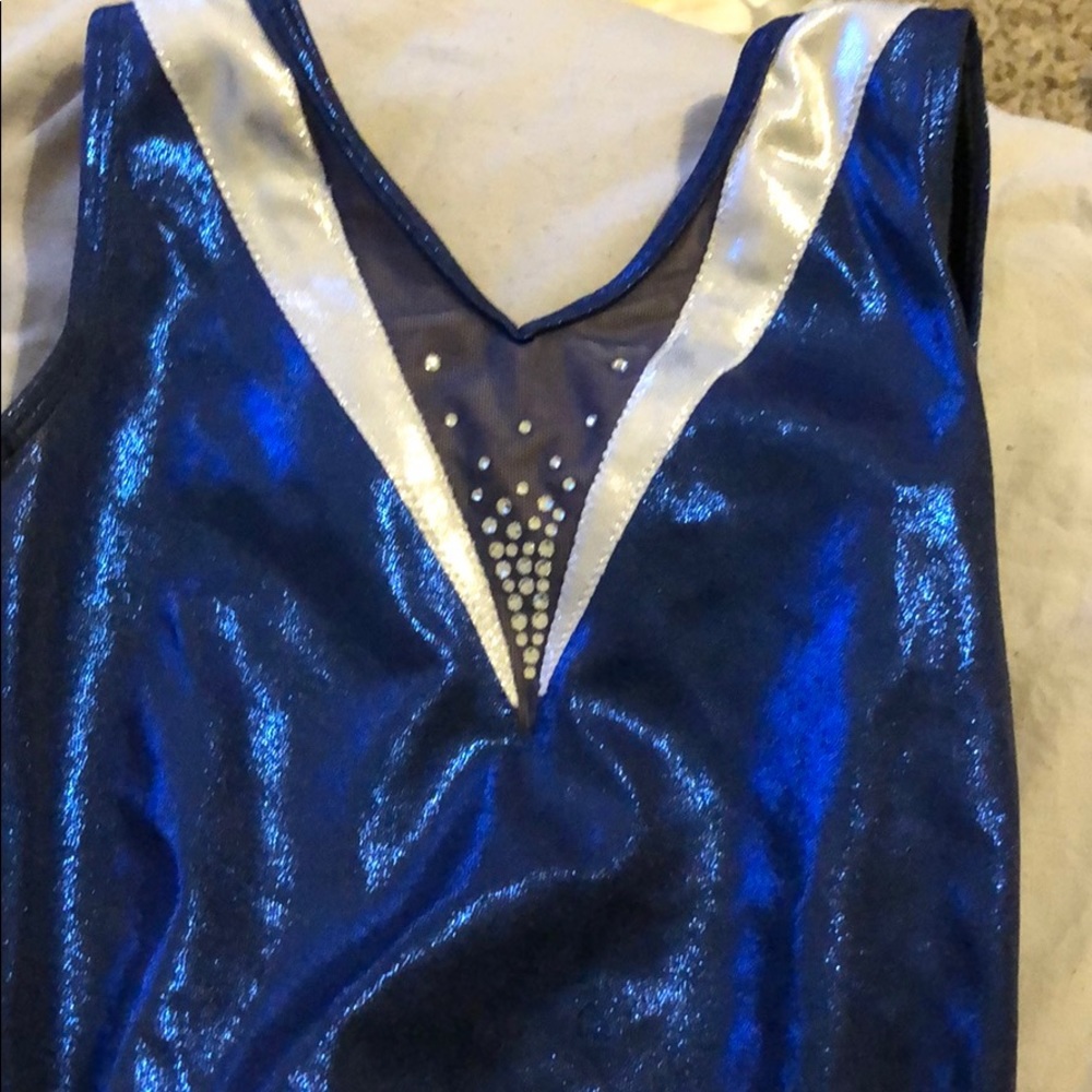 blue gymnastics leotard! very glittery!